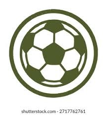 记者：吴少聪发烧，今日出席国安赛前发布会球员调整为张玉宁