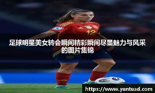 种赢球